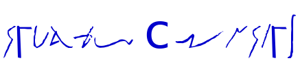 selang cursief 字体